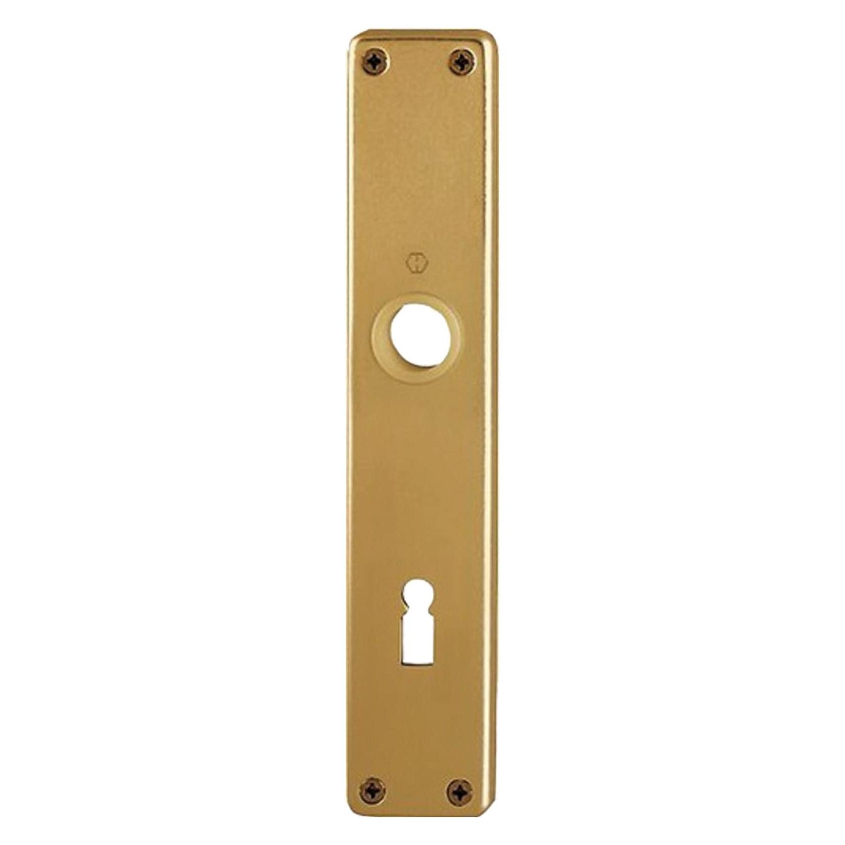 Hoppe Langschildpaar 202SP F4 / bronzefarbig F4 BB 72 mm (Türschildgarnitur) (6030621)