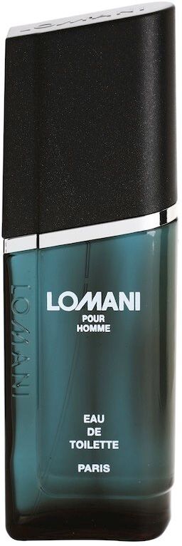 Lomani Pour Homme Eau de Toilette pour homme 100 ml