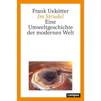 Im Strudel, Gebundene Ausgabe von Frank Uekötter, Campus, 978-3-593-51315-7