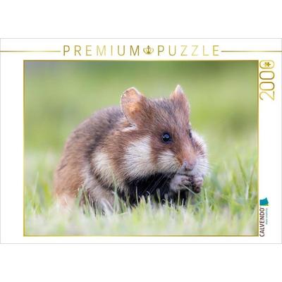 CALVENDO Puzzle Feldhamster | 2000 Teile Lege-Größe 90x67cm Foto-Puzzle für glückliche Stunden