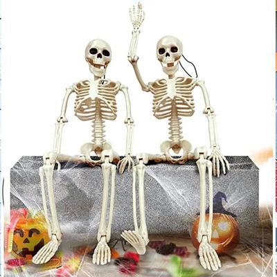 Uplifted Finds Humanoid Skeleton Modeling Prop   Posable Halloween Decorative Frame   Executive Haunted & Studio Sanctuary Decor 2 Pcs