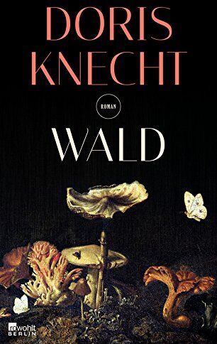 Doris Knecht - Wald - Preis vom 09.10.2026 07:28:09 h