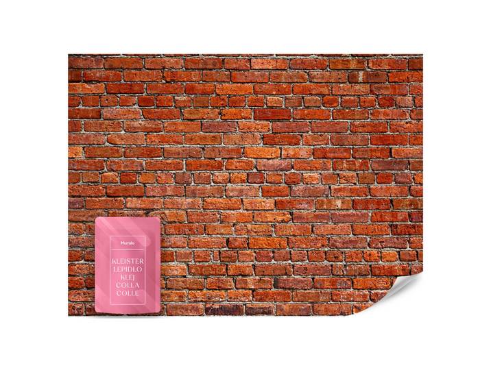 Muralo Fototapete für Wohnzimmer Backstein Ziegel 3D 450x315, Rot, Orange, Grau, Papier, Stein Optik, Rechteckig, 450x315 cm, Tapeten & Wandverkleidungen, Fototapeten