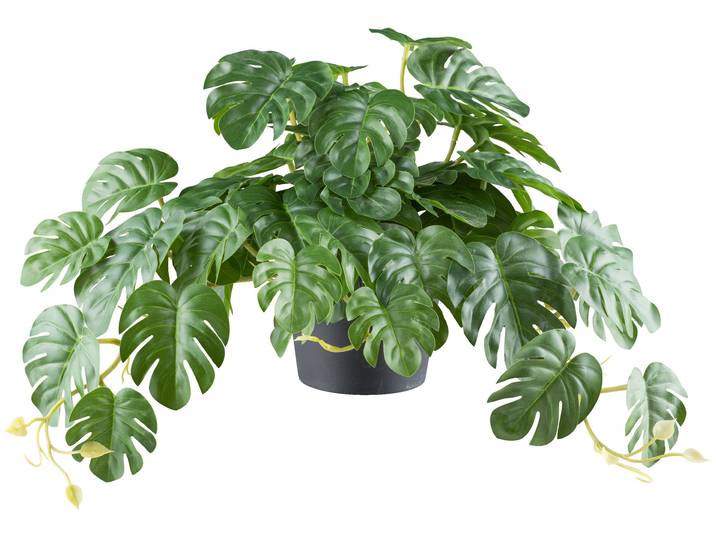 Kunstpflanze CREATIV GREEN Splitphilodendron , grün, H:40cm Ø:24cm, Kunststoff, Kunstpflanzen, Kunstpflanze, mit naturgetreuem Blattwerk