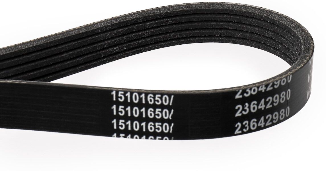 RIDEX 305P0784 Multiriem
