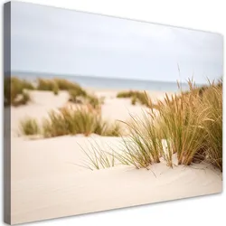 LEINWANDBILD Strand Meer Pflanzen Dünen Natur 120x80cm