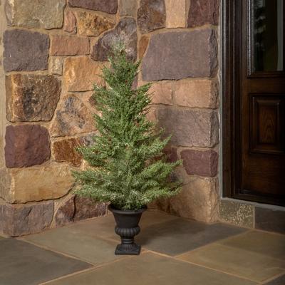 Regency International "40"" Uv Potted Mini Spruce In Urn"