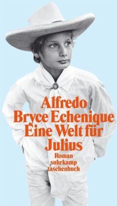 Alfredo Bryce Echenique - Eine Welt für Julius: Roman (suhrkamp taschenbuch) - Preis vom 15.10.2026 23:06:25 h