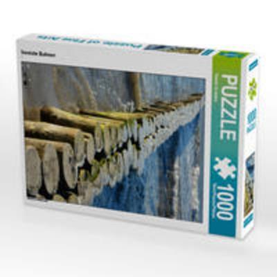 CALVENDO Puzzle Vereiste Buhnen 1000 Teile Lege-Größe 48 x 64 cm Foto-Puzzle Bild von Renate Grobelny