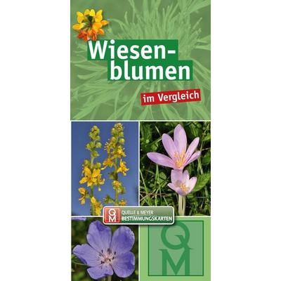 Wiesenblumen, Sonstige von , Quelle & Meyer, 978-3-494-01930-7