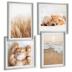 BILDER SET 4er Set - 50x50 cm & 40x60 cm Silberner Rahmen - Niedliche Tiere, Katzen, Hunde, Strand