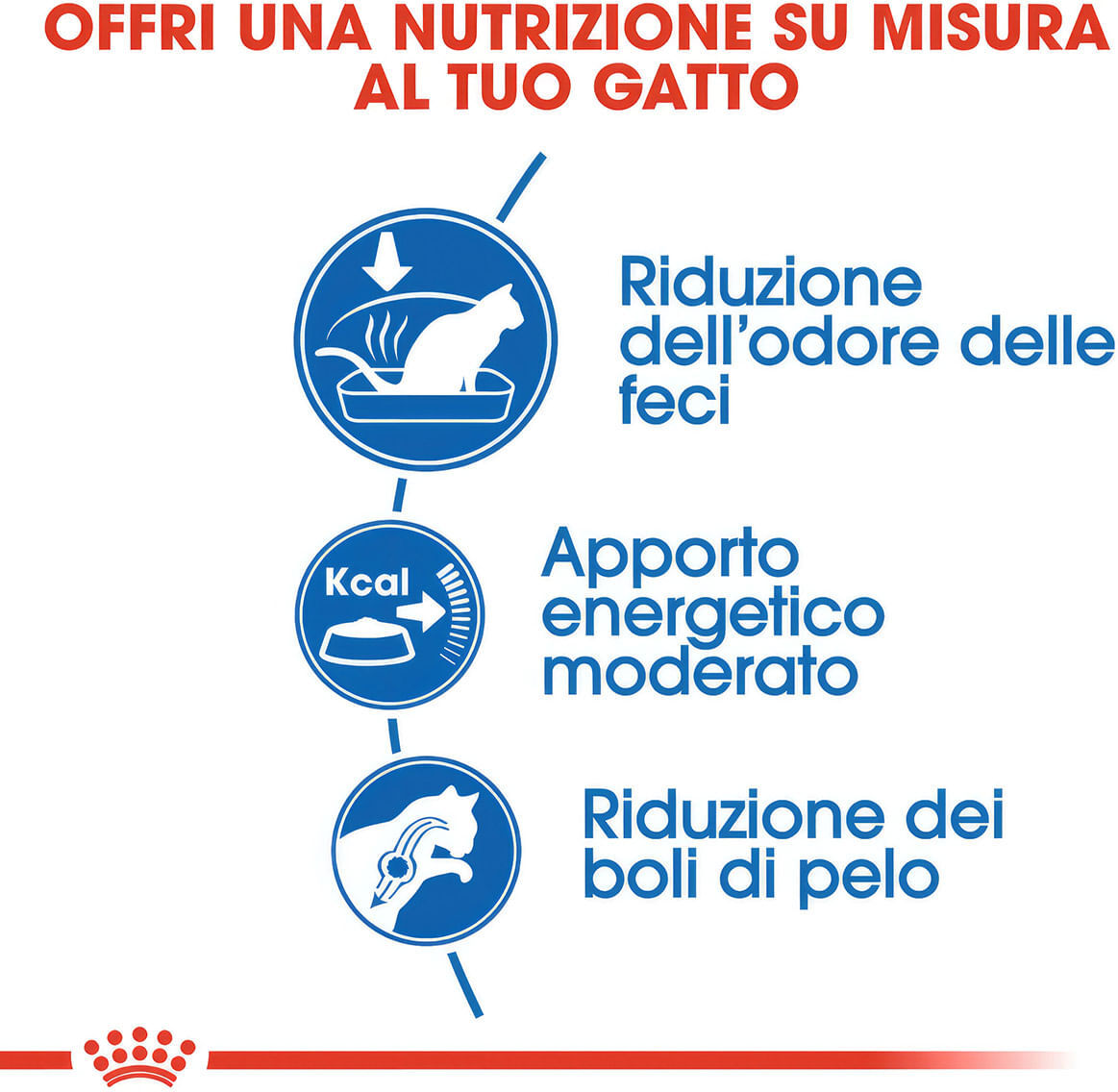 Royal Canin Cat Indoor Alimento completo secco per gatti adulti che vivono in casa 2KG