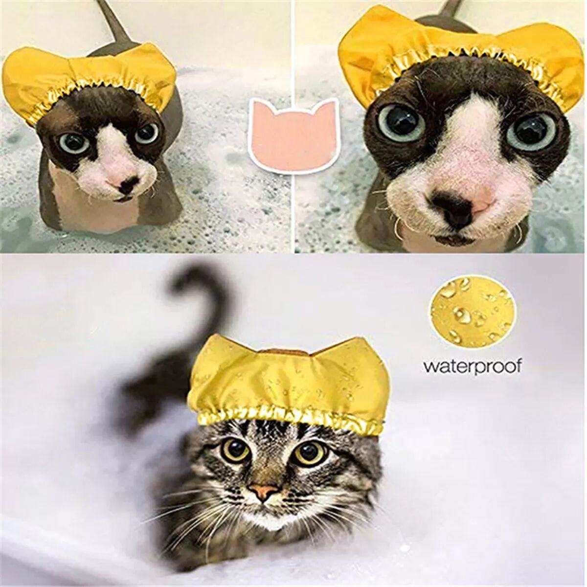 INF Goldene wasserdichte Haustier-Badekappe für Katzen und Hunde – Ohrenschutz Duschhaube M