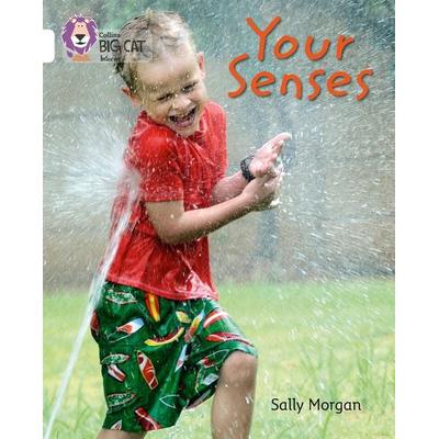 Your Senses, Taschenbuch von Sally Morgan, HarperCollins, 978-0-00-746206-3