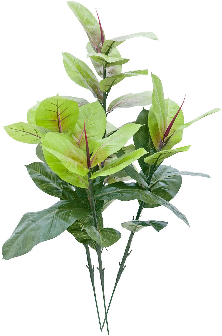 Europalms Gummibaum, 100cm