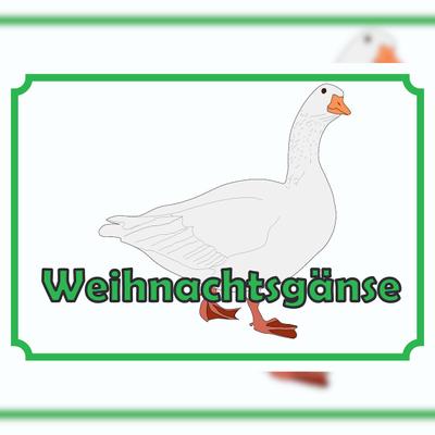 HB-Druck Weihnachtsgans Verkaufsschild Schild A4 Rückseite selbstklebend
