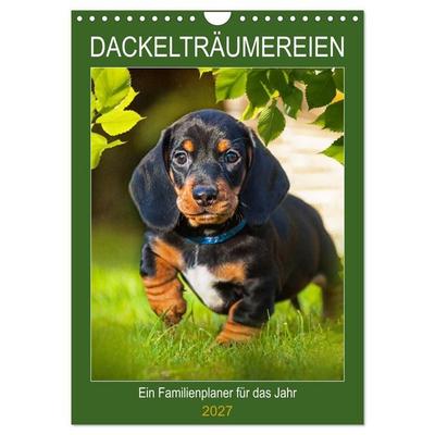 Dackelträume - Ein Familienplaner für das Jahr (Wandkalender 2027 DIN A4 hoch), CALVENDO Monatskalender