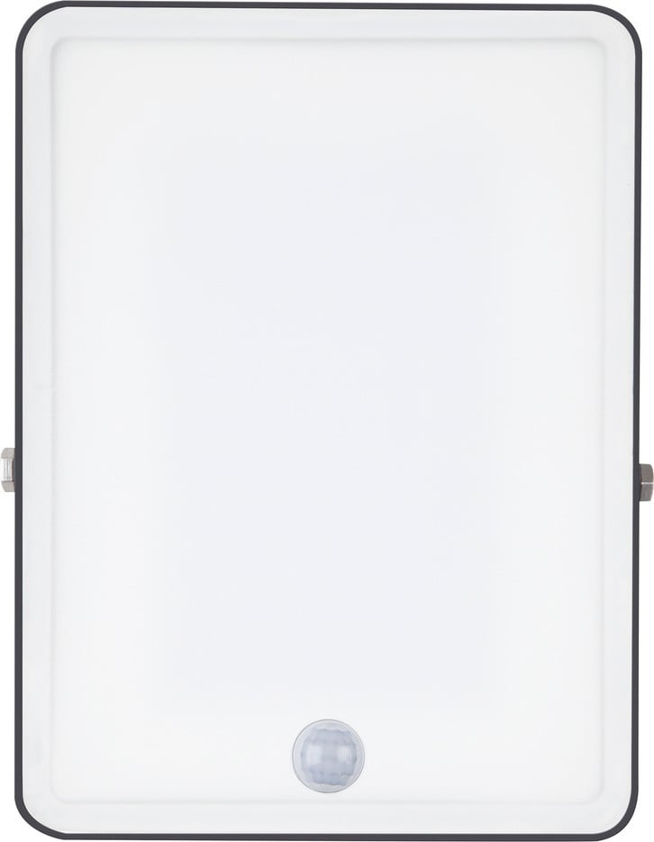 Ledvance Essentiële sensor tuinverlichting 50W/830 zwart