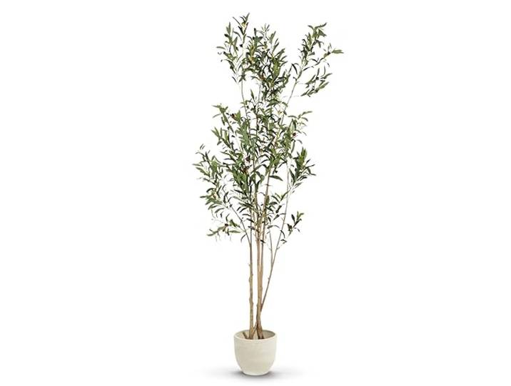 MAIA SHOP Olivenbaum Künstlich Flair 210 cm - Kunstbaum wie Echt Künstlicher Olivenbaum mit Naturholzstamm und Oliven für Wohnzimmer Flur Büro - Schwarzer Topf Inklusive