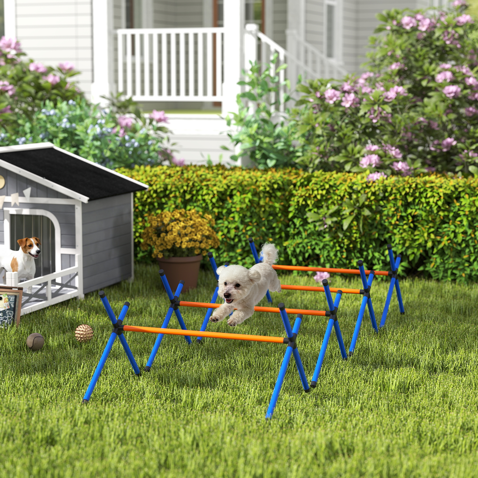 Pawhut Set Agility per Cani, kit 4 pezzi con ostacoli, borsa da trasporto, set di allenamento con altezza regolabile per cani piccoli   Aosom Italy
