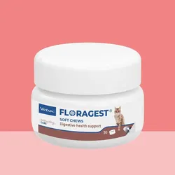 FLORAGEST KAT – Ergänzungsfuttermittel für Katzen, Packung mit 30 Tabletten
