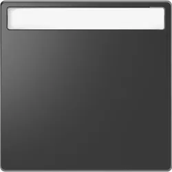 Merten MEG3360-6034 Wippe mit Schriftfeld, Anthrazit, System Design MEG33606034