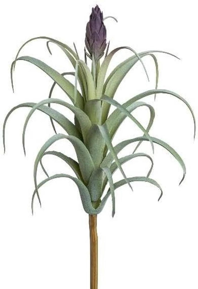Kunstplant Succulent Luchtplant Decoratie Binnen met Bloem - Groen Paars - 23 cm