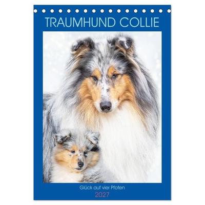 Traumhund Collie - Glück auf vier Pfoten (Tischkalender 2027 DIN A5 hoch), CALVENDO Monatskalender