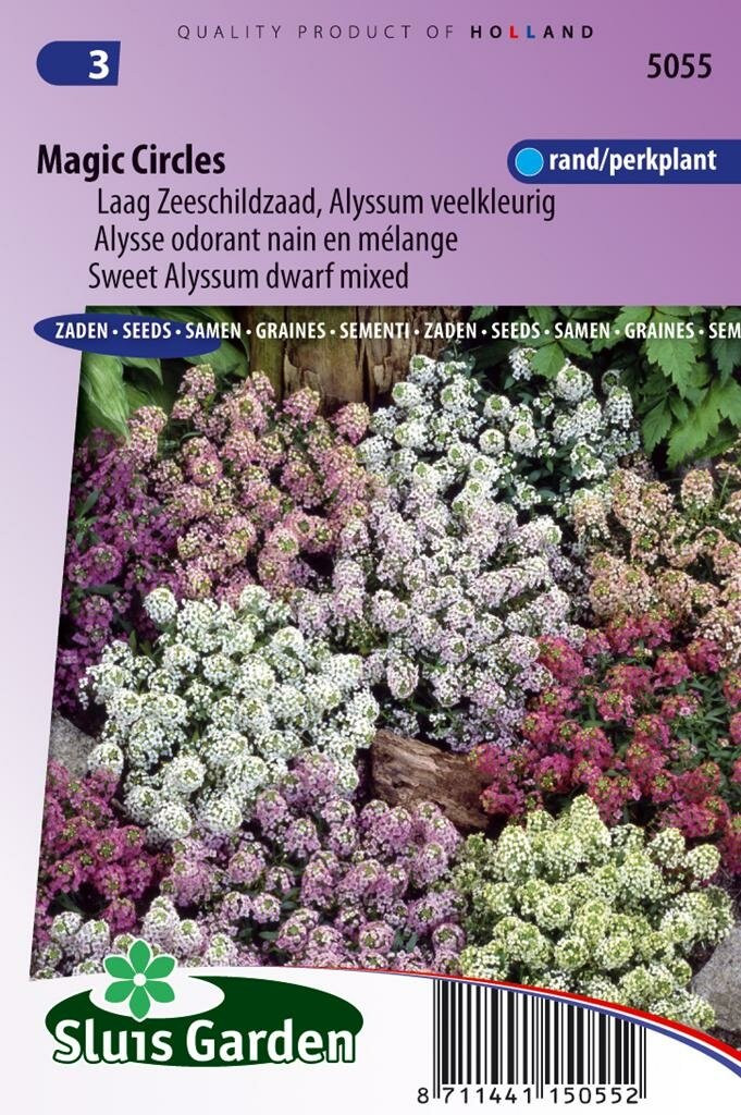 Sluis Garden Lobularia Maritima zaden Magic Circles Schildzaad
