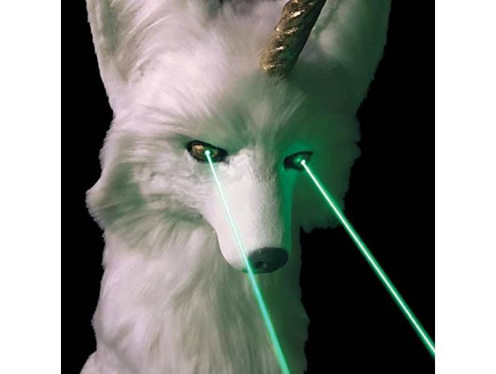 Artificial Head