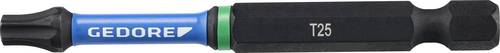 Gedore 666 TR70 T25-02 Bit-Set