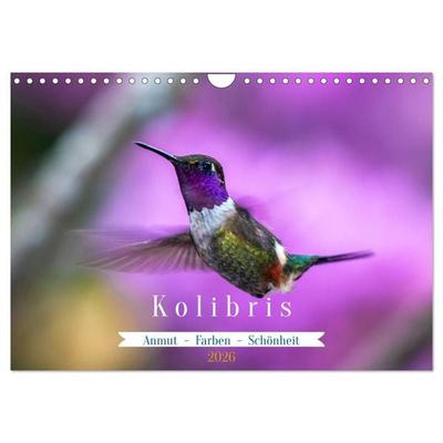 Kolibris; Anmut, Schönheit, Farben (Wandkalender 2026 DIN A4 quer), CALVENDO Monatskalender