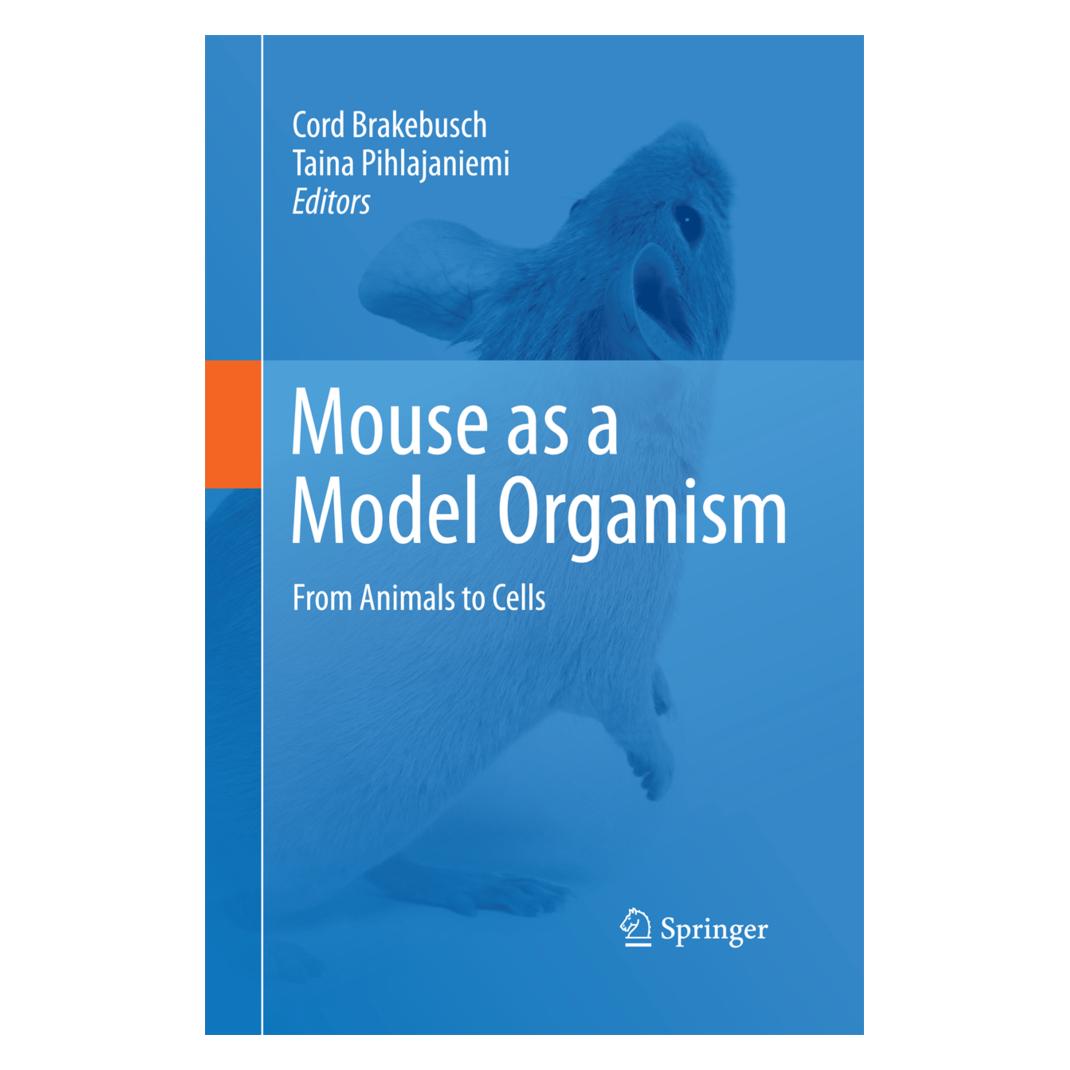 Springer Mouse as a Model Organism (Englisch, Softcover, Cord Brakebusch, Taina Pihlajaniemi) (55574152)