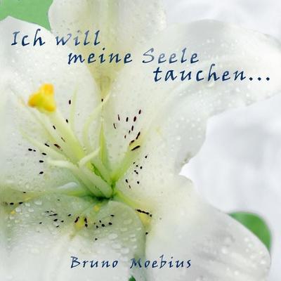 Ich will meine Seele tauchen ... - , Audio, 4250782337702