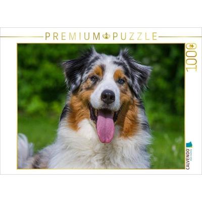 CALVENDO Puzzle Australian Shepherd Porträt | 1000 Teile Lege-Größe 64x48cm Foto-Puzzle für glückliche Stunden