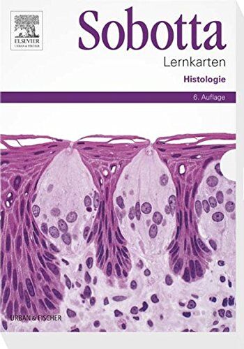 Lars Bräuer - Sobotta Lernkarten Histologie - Preis vom 09.10.2026 07:28:09 h