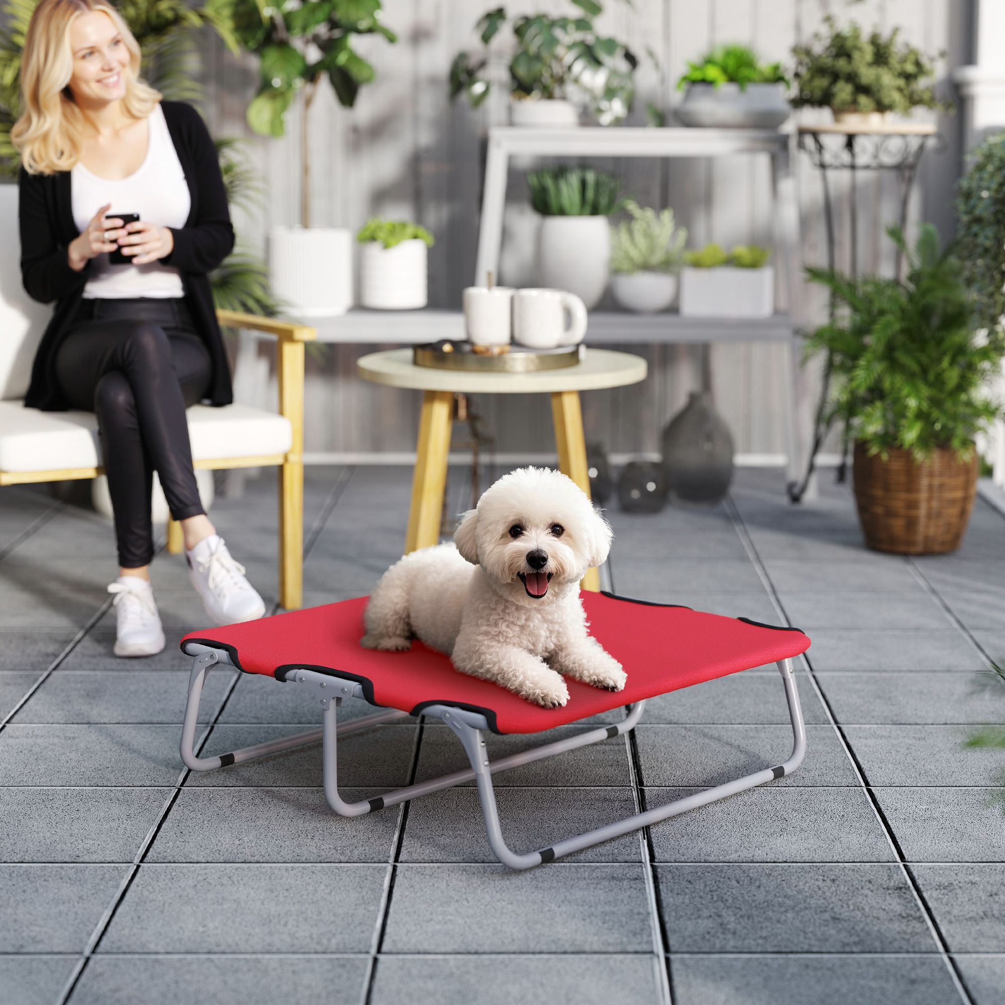 Pawhut Brandina per Cani Piccoli Pieghevole per Interno ed Esterno, Metallo e Tessuto Oxford, 71x58x20 cm, Rosso