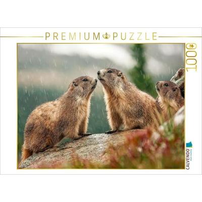 CALVENDO Puzzle Oh wie schön - eine Regendusche | 1000 Teile Lege-Größe 64x48cm Foto-Puzzle für glückliche Stunden, Sonstige von , Calvendo Puzzle