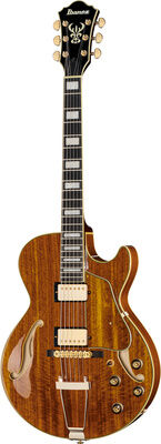 Ibanez AG95K-NT Natur