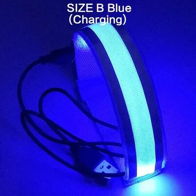 Friendly Fresh Finds USB Rechargeable LED Light Armband With Reflective Wristband For Running & Cycling Safety blue