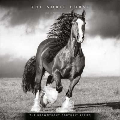 The Browntrout Portrait Series: The Noble Horse 2026 12 X 24 Inch (Hanging) Monthly Square Wall Calendar Plastic-Free