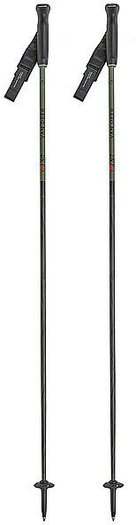VAN DEER RED BULL SPORTS Skistöcke Piste Carbon olive   125 B