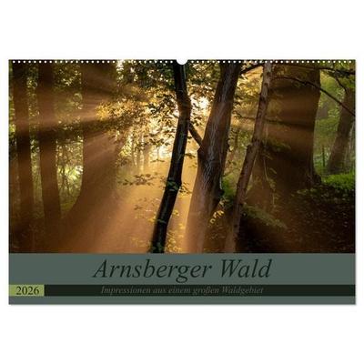 Arnsberger Wald (Wandkalender 2026 DIN A2 quer), CALVENDO Monatskalender