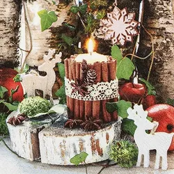 Home Fashion, Cozy Decoration, Cocktail-Servietten aufgefaltetes Maß 25 cm x 25 cm, im Viertelfalz, 20 Stück pro Pack
