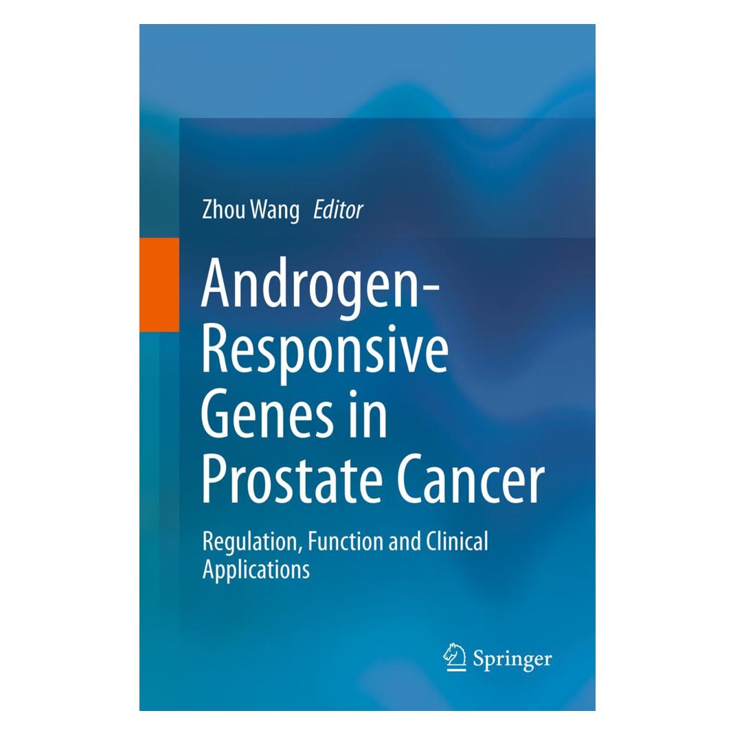 Springer Androgen-Responsive Genes in Prostate Cancer (Englisch, Softcover, Zhou Wang) (55582794)