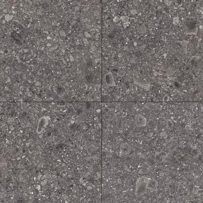 The Tile Life Pantheon Terrazzo 24 x 24 Porcelain Floor and Wall Tile