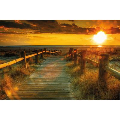Fototapete PAPERMOON "Sunset Beach", bunt, B:5m L:2,8m, Vlies, Tapeten