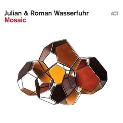 Mosaic (180g Black Vinyl+Download) - Julian & Roman Wasserfuhr, Vinyl