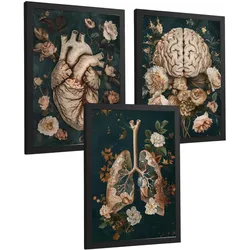 POSTER Set aus 3 Anatomie Drucke und Dekorative Wandbilder mit Herz Gehirn Lungen Atmungssystem Florales Grün Gold Design Größe Schwarzer Rahmen A4