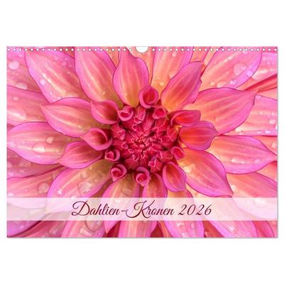 Dahlien-Kronen (Wandkalender 2026 DIN A3 quer), CALVENDO Monatskalender